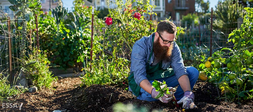 Gardener