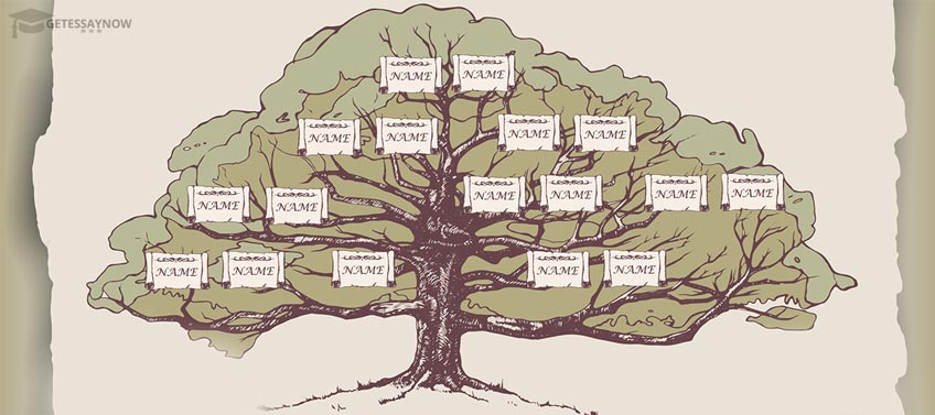 Genealogical Tree